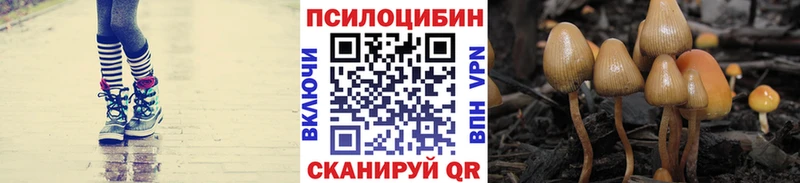 Галлюциногенные грибы GOLDEN TEACHER  Кольчугино 